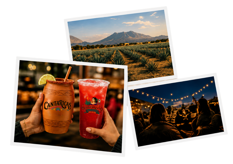 Cantaricas story - agave fields, drinks, and fiesta